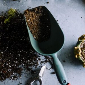 garden spade with dirt